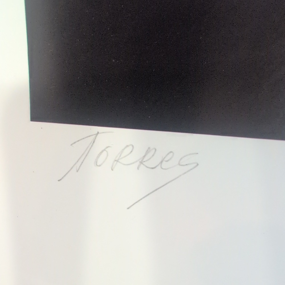 Sonia Torres Limited Edition Numbered, Signed Arabian Front Horse Artist's Print - Picture 7 of 8